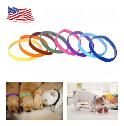 12pcs/conjunto De Cachorro Mascota Perro Gatito Gato Collar 