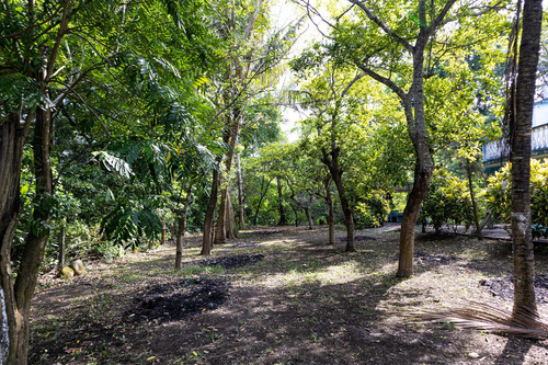 Terreno En Venta Sobre La Carretera Federal