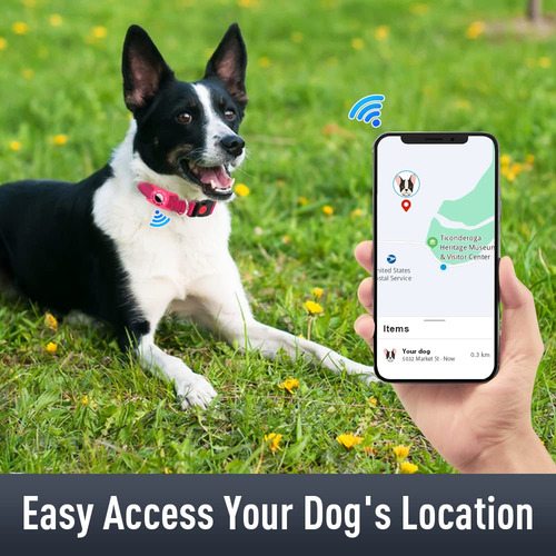 Collar De Perro Erbine Airtag Para Perros Medianos Con Acaba