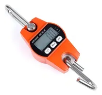 Comprar Mini Báscula Electrónica Digital Lcd Portátil 300 Kg Color