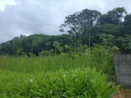 Imagem 3 de 6 de Terreno Lado Praia No Palmeiras Em Itanhaém Litoral Sul Sp