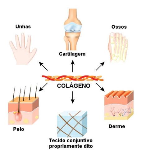 Colágeno Hidrolisado Tipo 1 + Peptídeos De Colageno + Vit C Sabor 120 Comprimidos