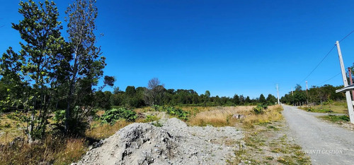 Venta De Parcela Cerca San Javier Pelluco Alto