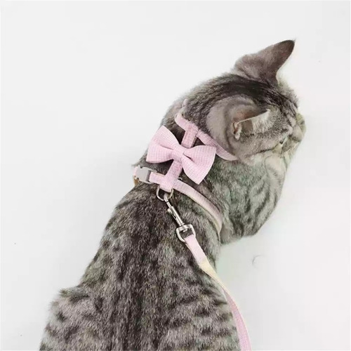 Imagen 8 de 10 de Arnés Para Gatos