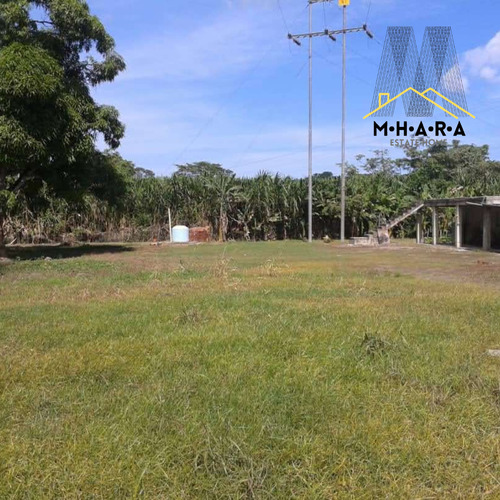 Parcela En Venta Vía Chuspa La Guaira Con Bienhechurias Y Siembra