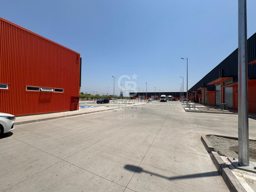 4 Bodegas Planta Libre Alta Seguridad