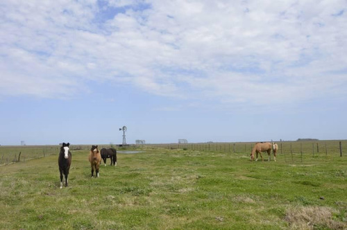 Imagen 11 de 12 de Se Vende - Excelente Campo 84 Has. Mixtas - General Belgrano