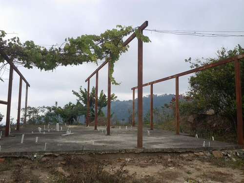 Imagen 3 de 5 de Proyecto Habitacional Guayabo Alto Ejido Edo Merida