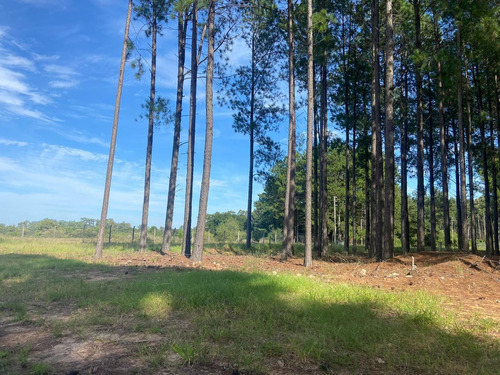 Imagen 5 de 30 de Lotes A La Venta En La Aldea Club De Campo - Colon Entre Rios Desde Usd 38.000!