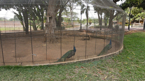 Imagen 6 de 7 de Complejo Recreacional Cocos Park Maracaibo