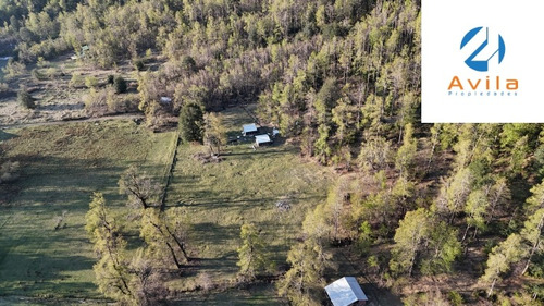 Pucón Palguin Alto Parcela Con 2 Cabañas- 1 Ha Cod.vtap193