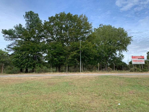 Imperdible Terreno Sobre Panamericana A La Venta O Alquiler En Campana, G.b.a. Zona Norte, Argenti