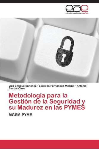 Libro: Metodología Para La Gestión De La Seguridad Y Su Madu