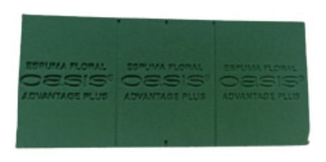 Oasis Espuma Floral Con Base De Plástico 4 Pz
