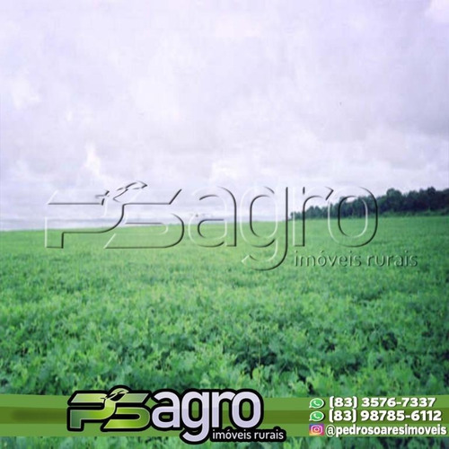 Imagem 14 de 16 de Fazenda À Venda, 1000000000 M² Por R$ 1.500.000.000 - São José - Formoso Do Araguaia/to - Fa0085