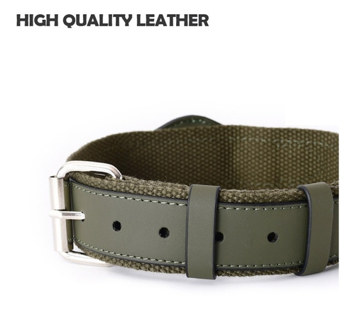 (l-g)cat Collar For Tracking Collar Adjustable Leash +nylon