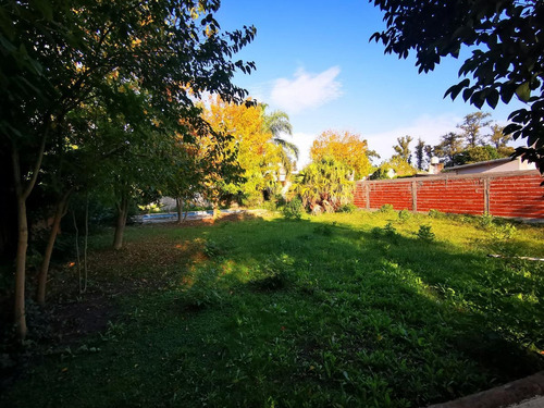 Imagen 3 de 6 de Terreno -461 E E/ Camino Centenario Y 12 B -city Bell La Plata