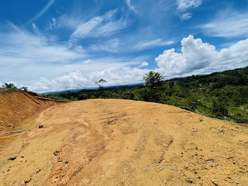 Venta De Lotes Baratos En San Roque, Antioquia  