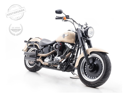 Harley Davidson Fat Boy Low/special Flstfb