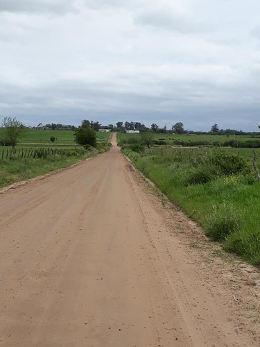 Imagen 2 de 14 de Campo En Venta (camping Del Arroyo ) - Colon