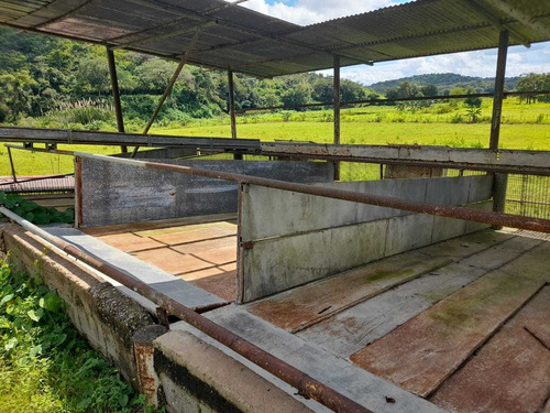 Imagen 18 de 30 de Finca En Guigue, 35 Hectareas. 5610462