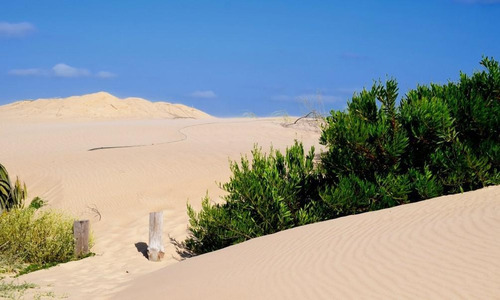 Imagen 3 de 4 de Excelente Lote De 332,64 M2 En El Balneario Punta Rubia, Rocha, Uruguay.