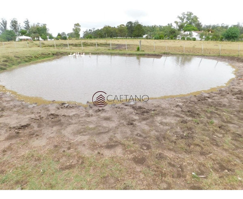 Imagen 3 de 13 de Campo- Chacra En Venta- Entrada De Pueblo Garzon-35 Hectareas - Garzón Pueblo Garzón