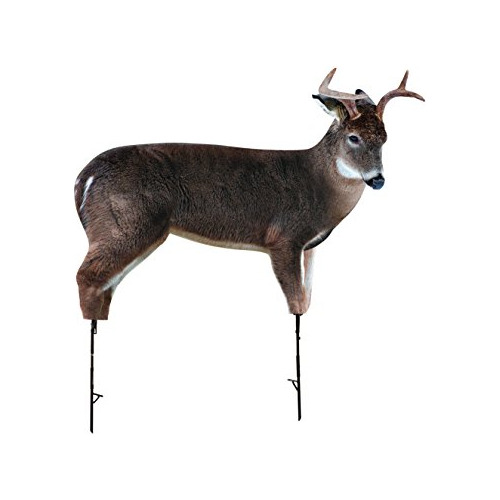 The Freshman (whitetail Buck) Por [nombre Del Artista]