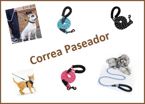 Correa Paseador Para Perro. Diferentes Tamaños