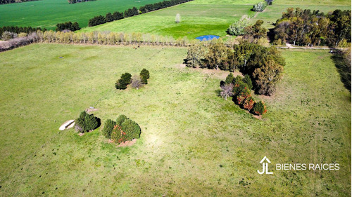 Alquiler De Campo De 10 Has. En Los Cardales