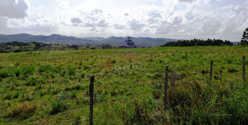17 Has, Vistas Serranas, Monte Nativo, Arroyo Y A 1 Hora De Mdeo...- Ref: 26461