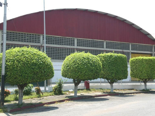 Imagen 6 de 14 de Galpon Industrial Urb El Cujial Santa Teresa Del Tuy