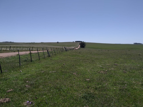 Campo Ganadero Sobre Carretera - Paraje Ladrillos - Lavalleja (límite Con Florida)