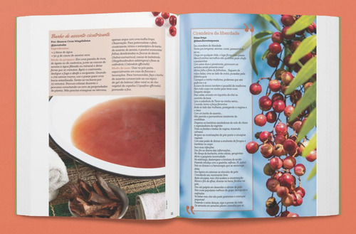 Livro - Plantas Antibióticas, De Marilua Feitoza. Editorial Editora Europa, Capa Mole, Edição 1 Em Físico, 2024