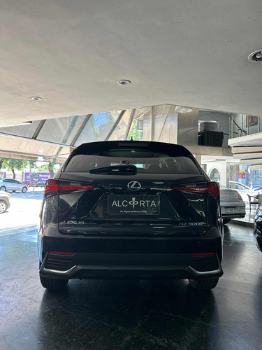 Lexus 300 Nx Hybrid 2019