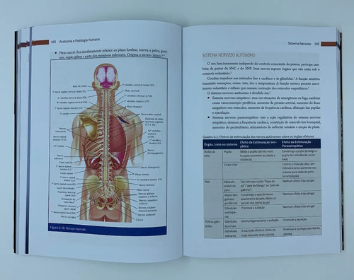 Livro Anatomia E Fisiologia Humana - Imagens Coloridas