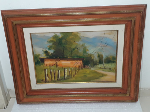 2294- Raimundo Botelho Ost 87x69cm C/mold - Campo Grande/rj. (Usado)