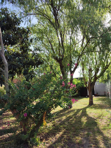 Imagen 7 de 10 de Cabañas En Chascomus