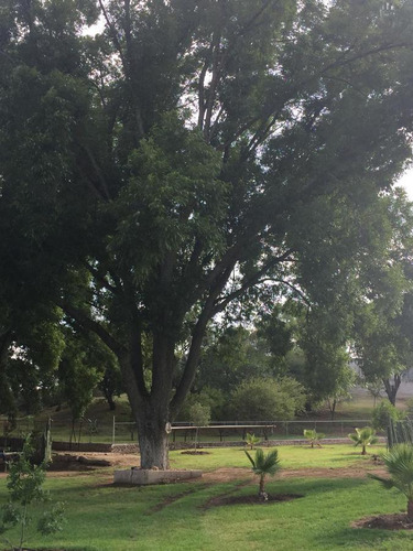 Terreno Campestre En Venta En El Espejo En Fraccionamiento Sustentable