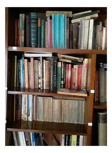 Cuentos Chéjov Gógol Hawthirne Hoffmann Maupassant Poe N18 (Usado)