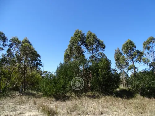 Terreno En La Esmeralda M325 S8 En La Esmeralda