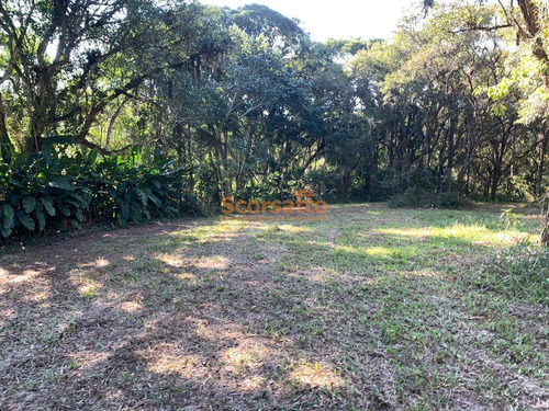 Imagem 9 de 10 de Área À Venda, Mombaça, Itapecerica Da Serra/sp - 4017