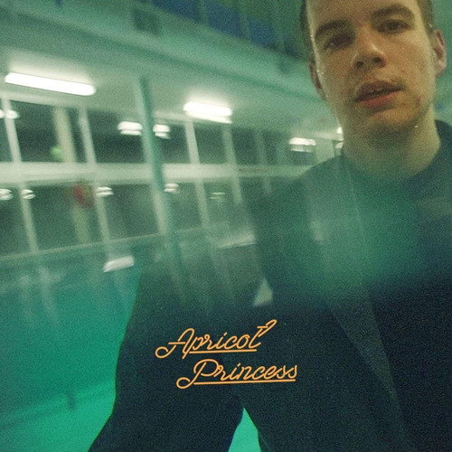 Vinilo: Rex Orange County Apricot Princess Colored Vinyl Ora