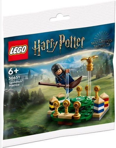 Lego Harry Potter Practica De Quidditch 30651 -55 Pz Polybag