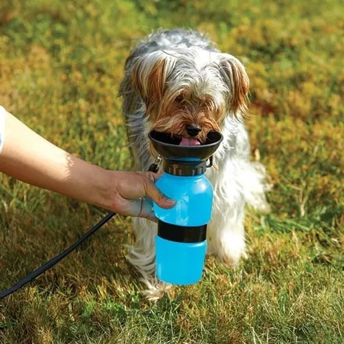 Bebedero Termo Portatil Azul Agua Para Perros Aqua Dog | GANI2289235