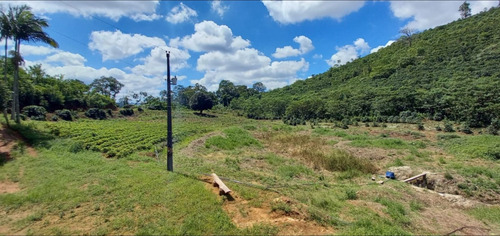 Terreno Com Casa, Natureza E Rentabilidade