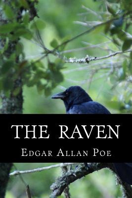 Libro The Raven - Poe, Edgar Allan