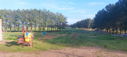 Campo Agrícola, 5 Hectáreas, Coneat 184, Pozo Semi Surgente