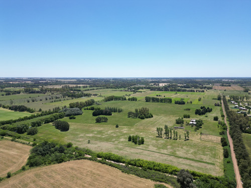 Campo En Pilar