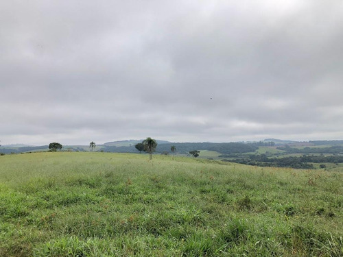 Imagem 17 de 24 de Vendo Fazenda Regiao De Pouso Alegre (6178)